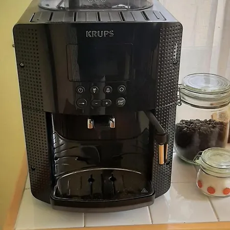 Palais Clemenceau * Nice